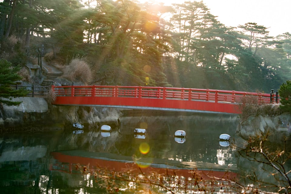 №12: An Honorary Ōshima